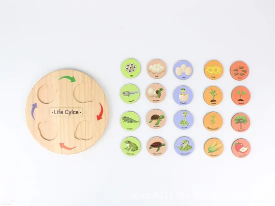 Educational Wooden Life Cycle Board, Interactive Learning Puzzle